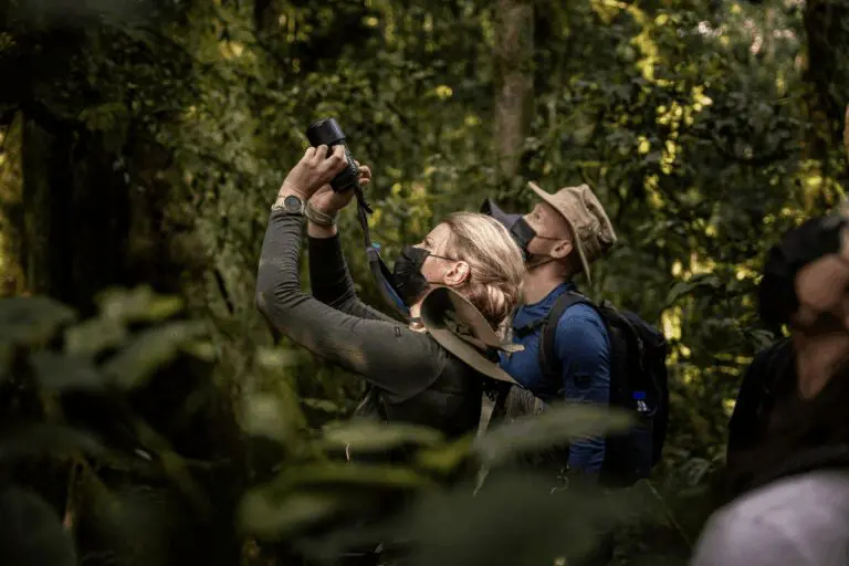 Why do you need to wear a face mask during the gorilla safari in Uganda?
