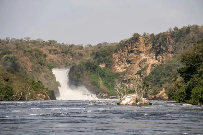 Murchison Falls National Park Uganda
