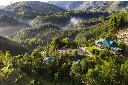 rushaga gorilla lodge