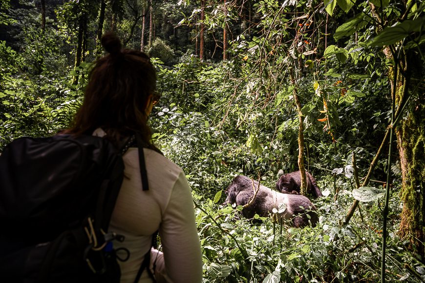 vrouw die gorilla spot in Oeganda bij Uganda Nomads