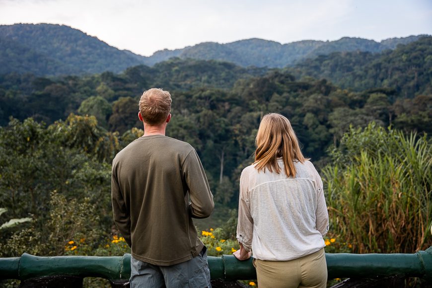 looking over the forest