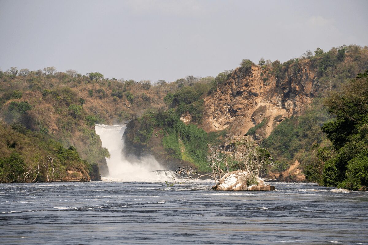 Murchison Falls National Park Ouganda
