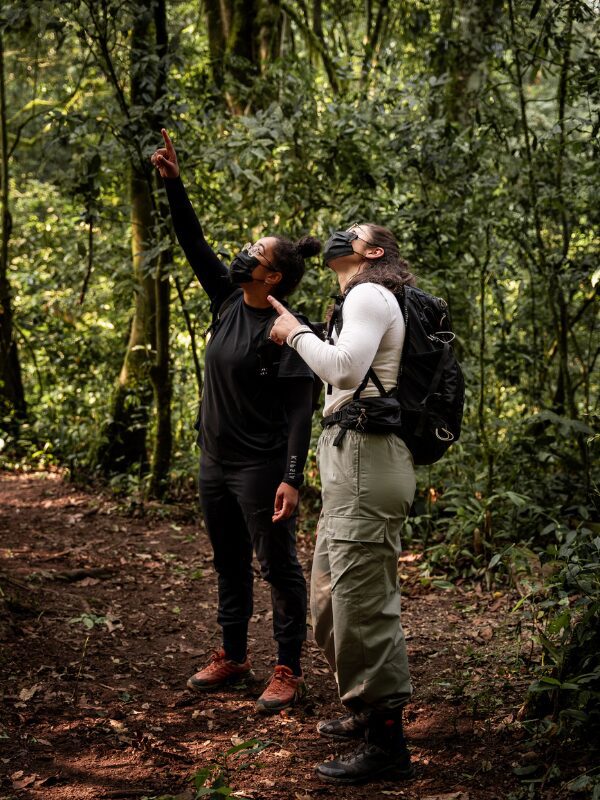 Gorilla spotten in het Bwindi Forest in Oeganda