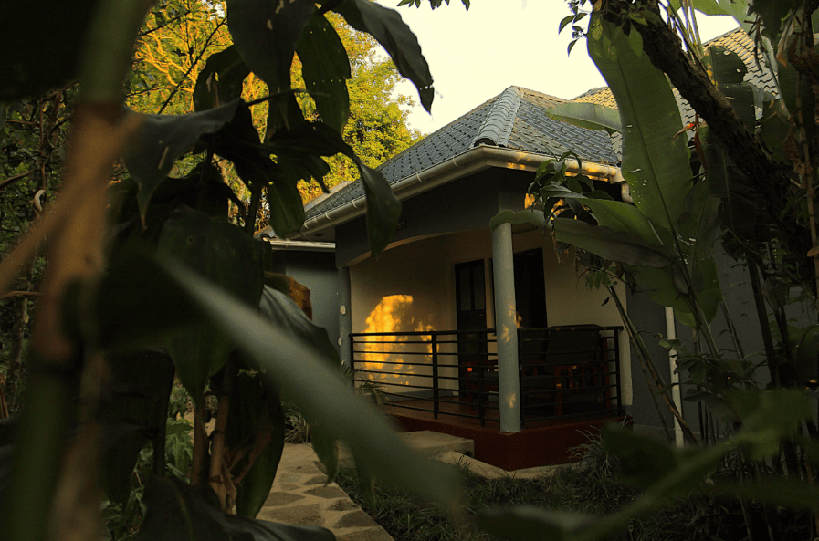 Kibale Forest lodge