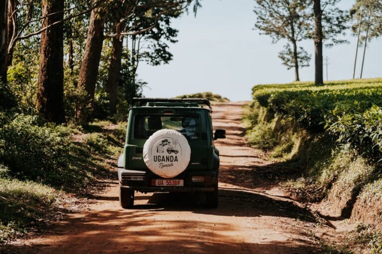 grüner Safari-Jeep auf unbefestigter Straße in Uganda